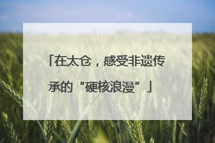 在太仓，感受非遗传承的“硬核浪漫”