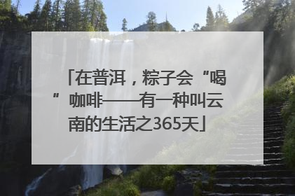 在普洱，粽子会“喝”咖啡——有一种叫云南的生活之365天