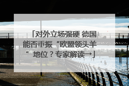 对外立场强硬 德国能否重振“欧盟领头羊”地位？专家解读→