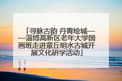 寻脉古韵 丹青绘城——淄博高新区老年大学国画班走进章丘明水古城开展文化研学活动