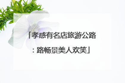 孝感有名店旅游公路：路畅景美人欢笑