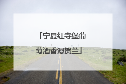 宁夏红寺堡葡萄酒香漫贺兰