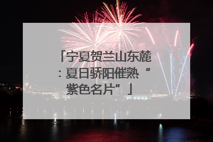 宁夏贺兰山东麓：夏日骄阳催熟“紫色名片”