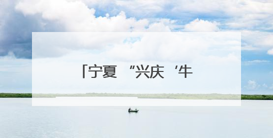 宁夏 “兴庆‘牛’礼为市民奶瓶子”增添更多选择