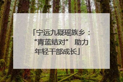 宁远九疑瑶族乡：“青蓝结对” 助力年轻干部成长