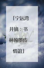 宁远湾井镇：书林翰墨传情谊