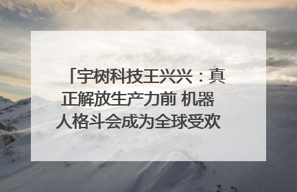 宇树科技王兴兴：真正解放生产力前 机器人格斗会成为全球受欢迎的赛事｜科技观察