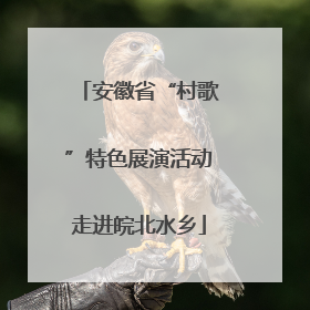 安徽省“村歌”特色展演活动走进皖北水乡