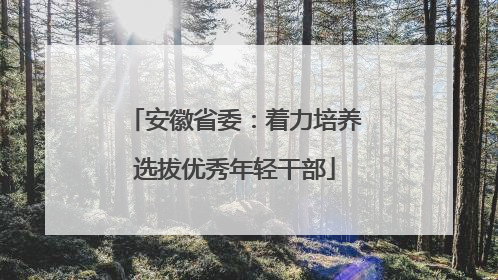 安徽省委：着力培养选拔优秀年轻干部
