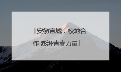 安徽宣城：校地合作 澎湃青春力量