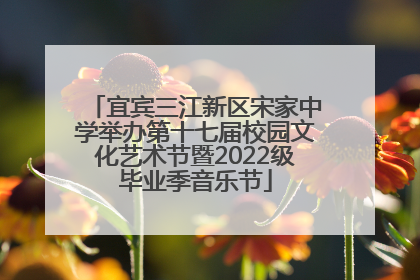 宜宾三江新区宋家中学举办第十七届校园文化艺术节暨2022级毕业季音乐节