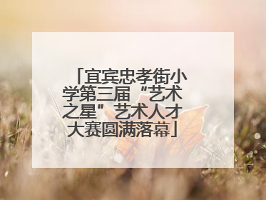 宜宾忠孝街小学第三届“艺术之星”艺术人才大赛圆满落幕