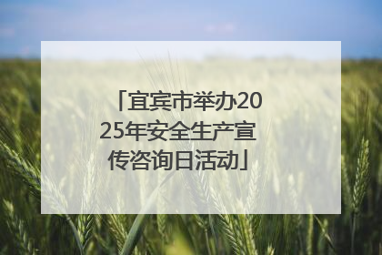 宜宾市举办2025年安全生产宣传咨询日活动