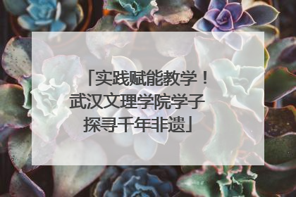 实践赋能教学！武汉文理学院学子探寻千年非遗