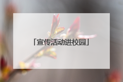 宣传活动进校园