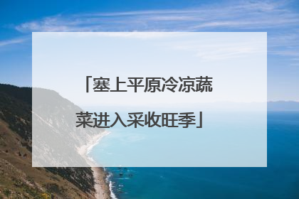 塞上平原冷凉蔬菜进入采收旺季