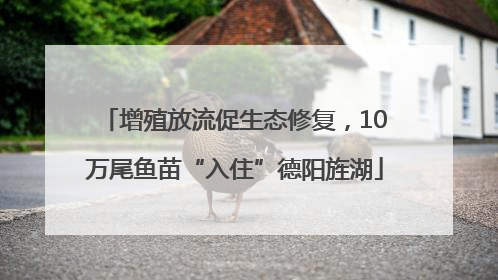 增殖放流促生态修复，10万尾鱼苗“入住”德阳旌湖