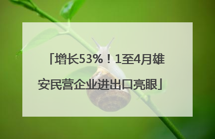 增长53%！1至4月雄安民营企业进出口亮眼