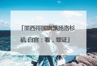墨西哥国旗飘扬洛杉矶 白宫：看，罪证