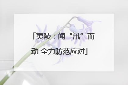夷陵：闻“汛”而动 全力防范应对