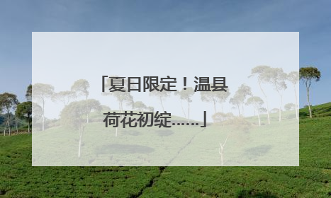 夏日限定！温县荷花初绽……