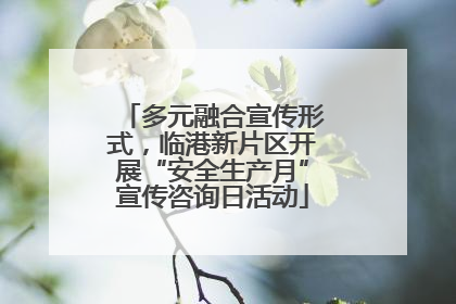 多元融合宣传形式，临港新片区开展“安全生产月”宣传咨询日活动