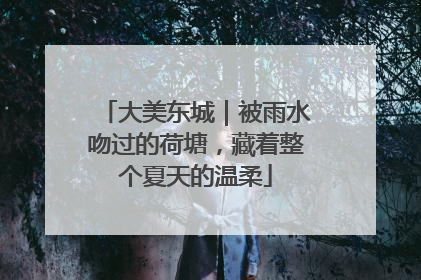 大美东城｜被雨水吻过的荷塘，藏着整个夏天的温柔