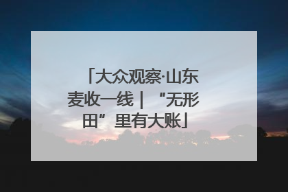大众观察·山东麦收一线｜“无形田”里有大账