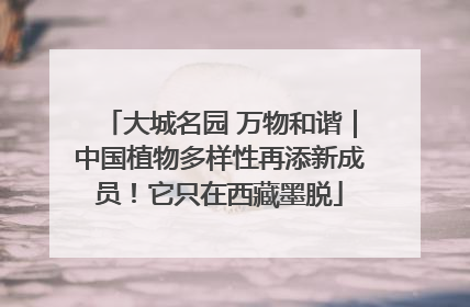 大城名园 万物和谐｜中国植物多样性再添新成员！它只在西藏墨脱