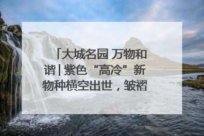大城名园 万物和谐│紫色“高冷”新物种横空出世，皱褶叶片暗藏进化密码