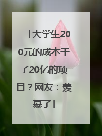 大学生200元的成本干了20亿的项目？网友：羡慕了