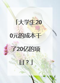 大学生200元的成本干了20亿的项目？