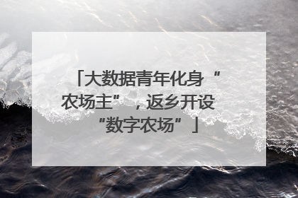 大数据青年化身“农场主”，返乡开设“数字农场”