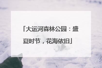大运河森林公园：盛夏时节，花海依旧