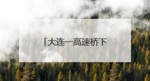 大连一高速桥下建筑垃圾堆积 记者采访后垃圾神奇“消失”