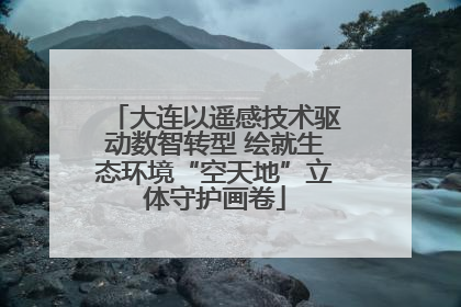 大连以遥感技术驱动数智转型 绘就生态环境“空天地”立体守护画卷