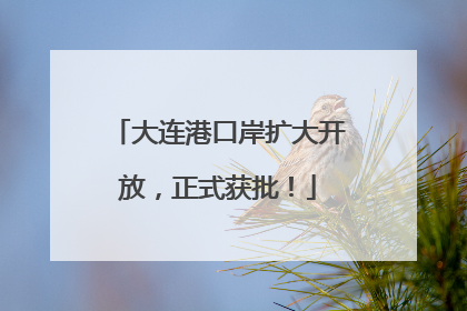 大连港口岸扩大开放，正式获批！