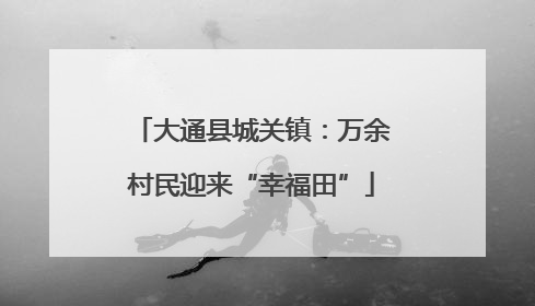 大通县城关镇：万余村民迎来“幸福田”