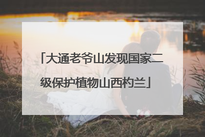 大通老爷山发现国家二级保护植物山西杓兰
