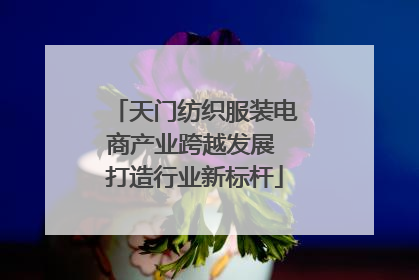 天门纺织服装电商产业跨越发展 打造行业新标杆
