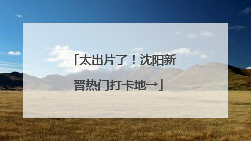 太出片了！沈阳新晋热门打卡地→