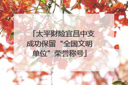 太平财险宜昌中支成功保留“全国文明单位”荣誉称号