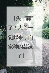 失“蒜”了！大爷一觉起来，自家种的蒜没了