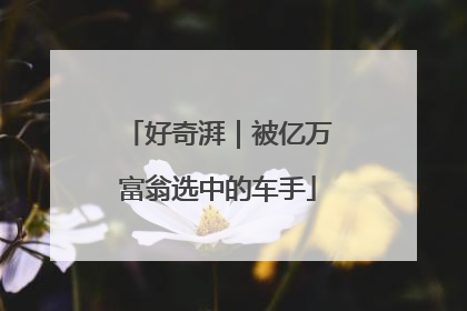 好奇湃｜被亿万富翁选中的车手