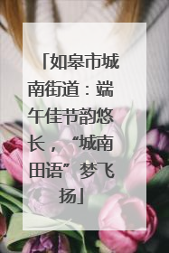 如皋市城南街道：端午佳节韵悠长，“城南田语”梦飞扬