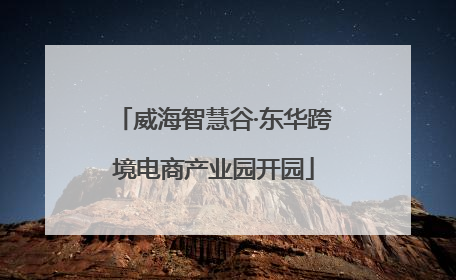 威海智慧谷·东华跨境电商产业园开园
