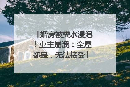 婚房被粪水浸泡！业主崩溃：全屋都是，无法接受