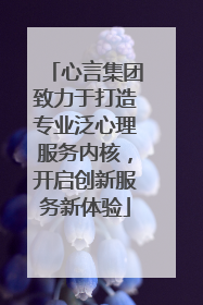 心言集团致力于打造专业泛心理服务内核，开启创新服务新体验