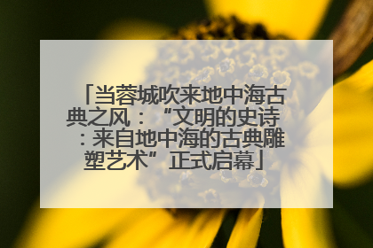当蓉城吹来地中海古典之风：“文明的史诗：来自地中海的古典雕塑艺术”正式启幕