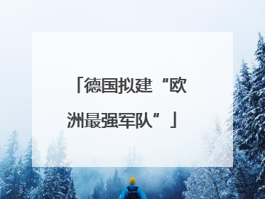 德国拟建“欧洲最强军队”